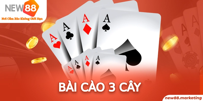vietjack 8 long bảo trong baccarat là gì