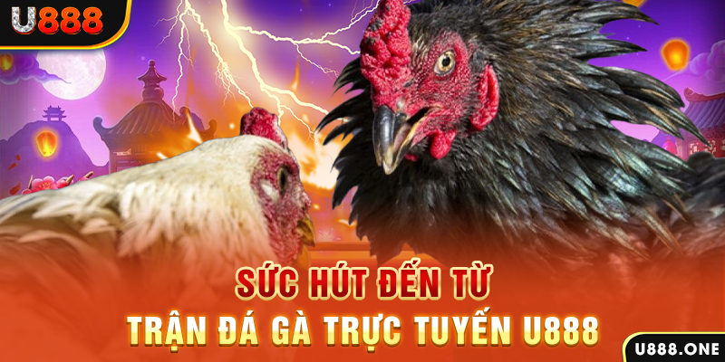 vietjack 8 đá gà trực tiếp c1