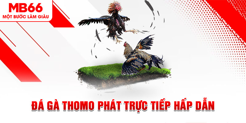 vietjack 8 dự đoán xổ số miền trung