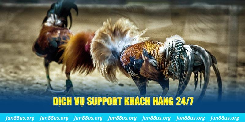 vietjack 8 ÁT CHỦ BÀI GIÀNH LẤY ZHUANG NIUNIU ( XEM 4 LÁ )