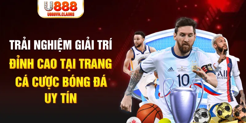 vietjack 8 gà chọi hoà phong