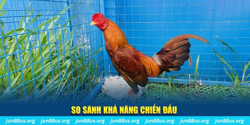 vietjack 8 CQ9 Điện Tử