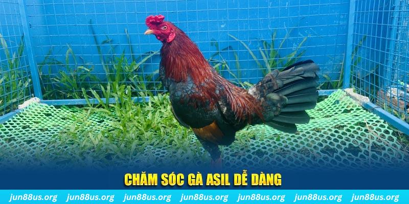 vietjack 8 game bài là gì