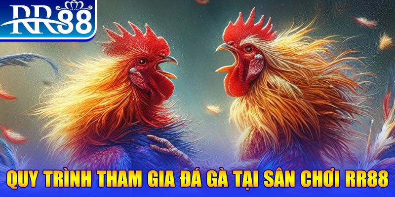 vietjack 8 đá gà cam 67