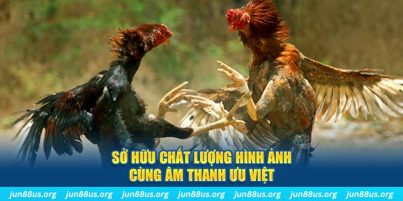 vietjack 8 PP Điện Tử