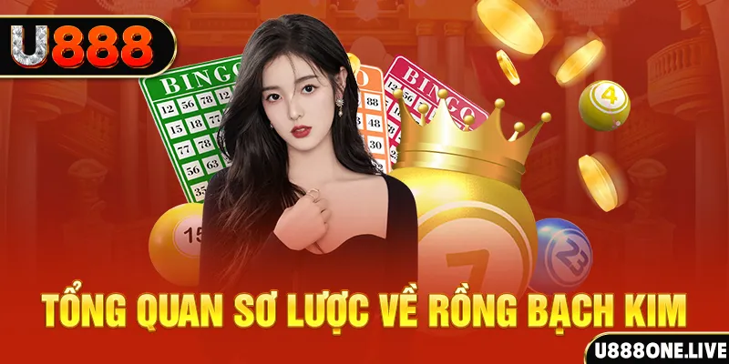 vietjack 8 hũ 8 bit nổ như thế nào