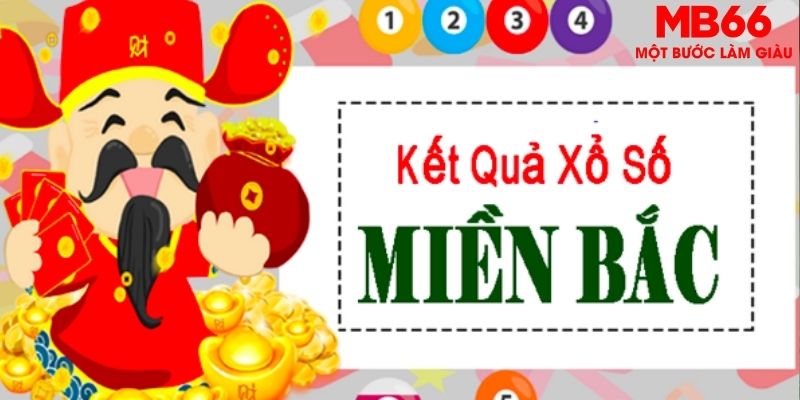 vietjack 8 chọi gà