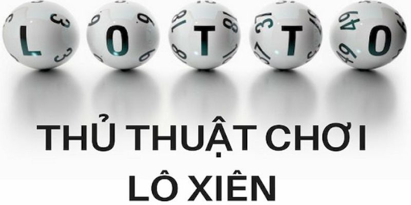 vietjack 8 trực tiếp đá gà thomo