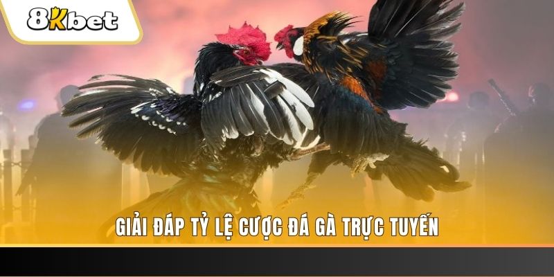 vietjack 8 xổ số đài miền trung
