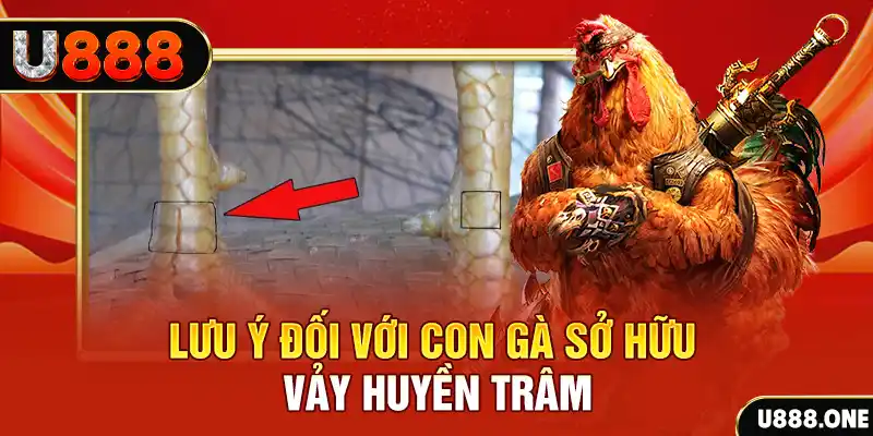 vietjack 8 kết quả xổ số miền nam hôm nay