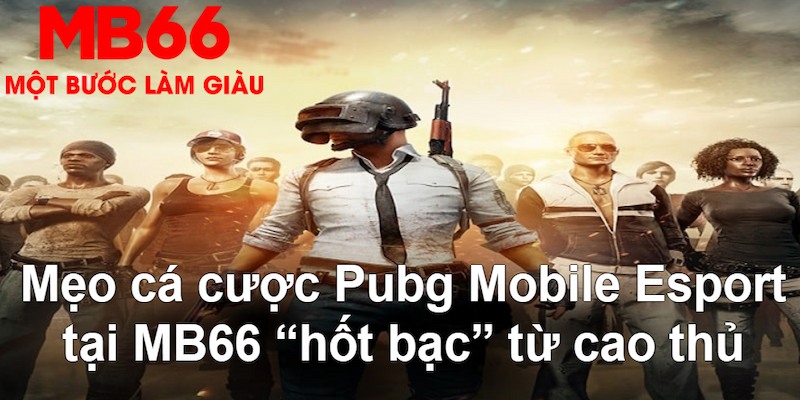 vietjack 8 VA Bắn cá