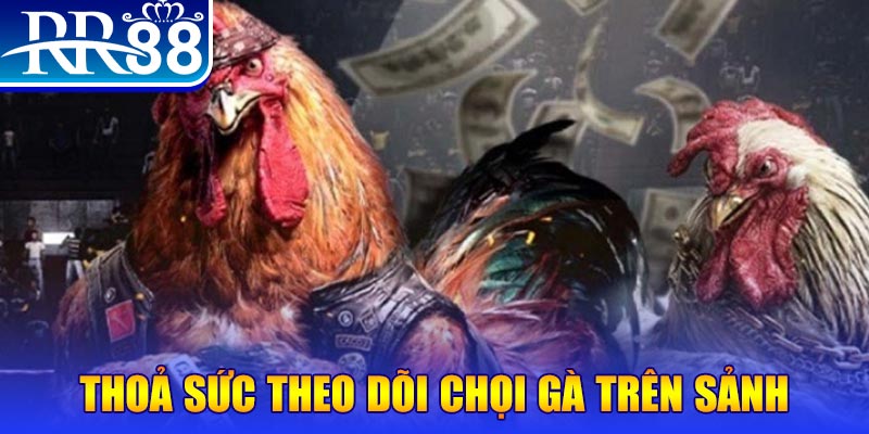 vietjack 8 trực tiếp đá gà c1