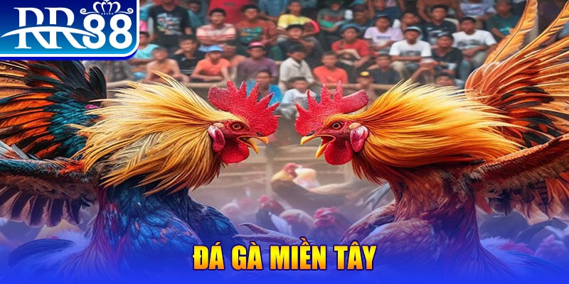 vietjack 8 no hu doi thuong ai