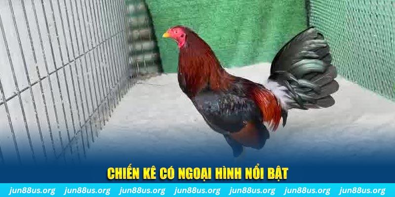vietjack 8 game nổ hũ là gì